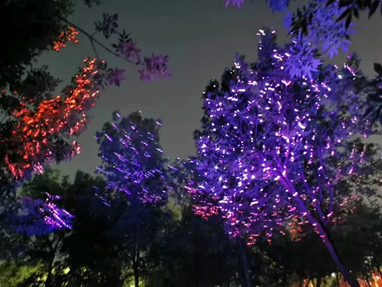 laser-light-projector-for-trees